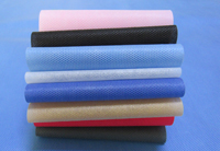 禄劝涤纶（PET）无纺布是什么